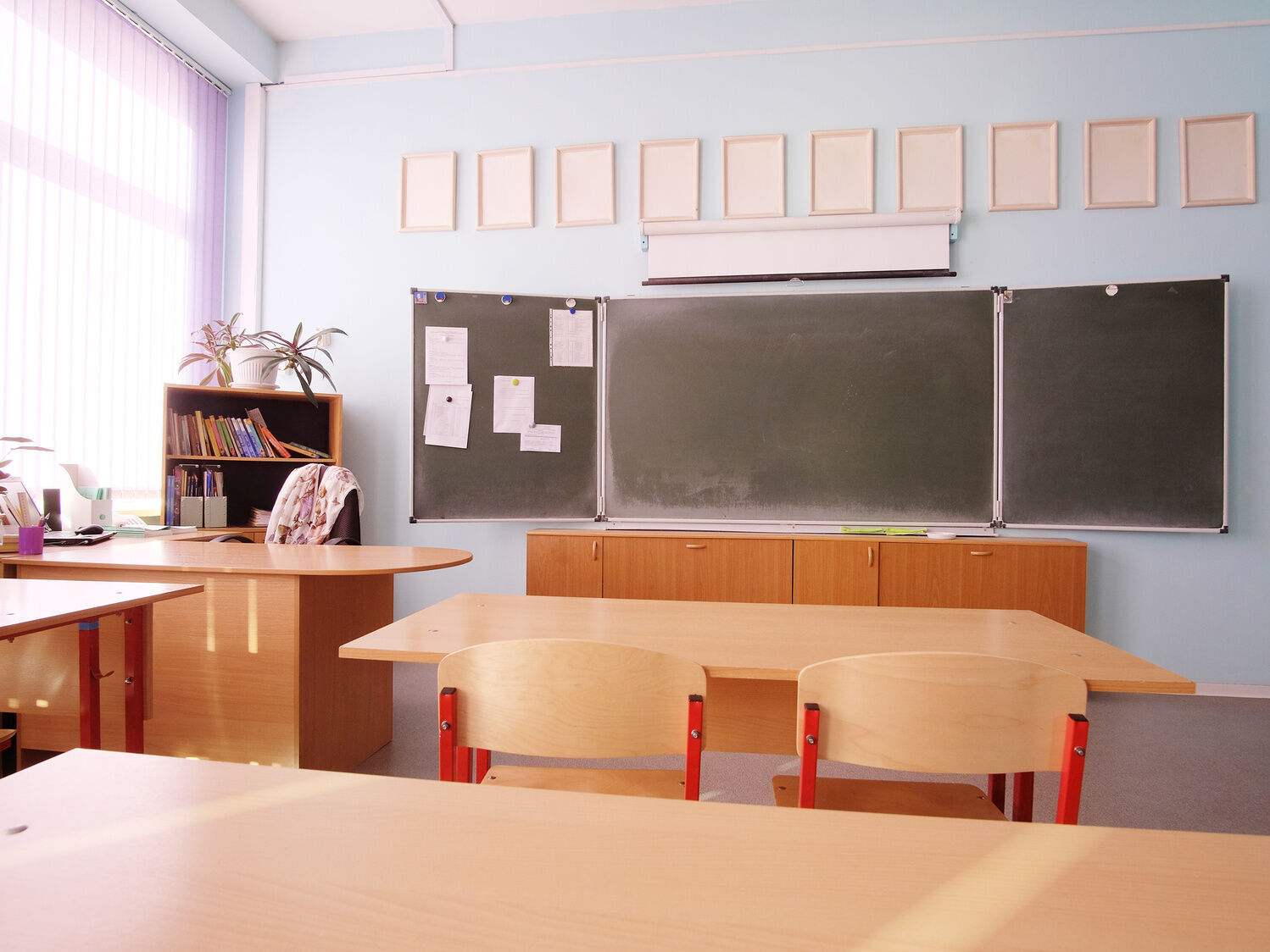 Schule & Studium