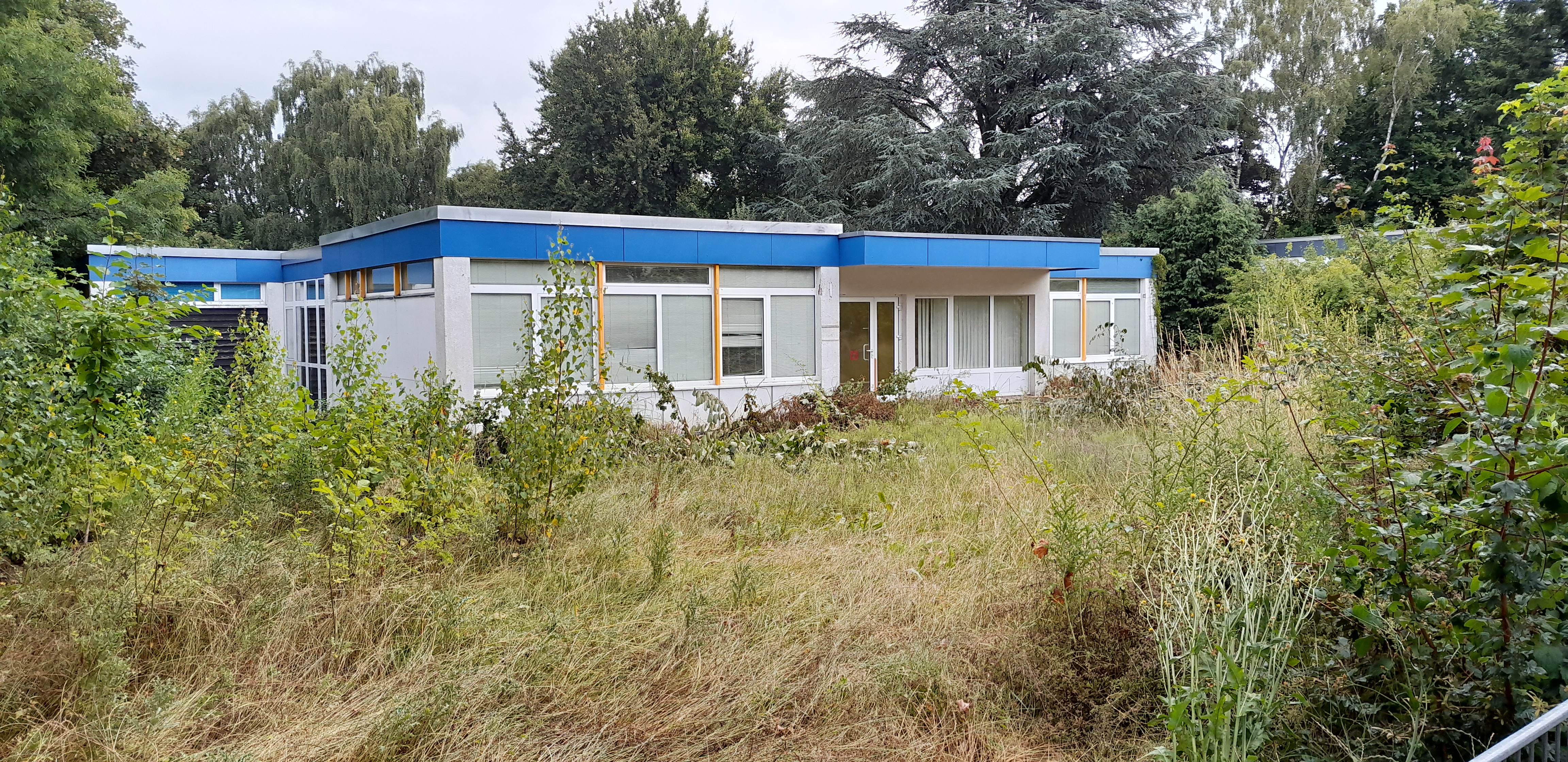 Die Natur erobert sich das Grundstück zurück, wie die Aufnahme vom Frühsommer 2025 beweist: Auf dem „Kronenberg 50“ war bis 2020 ein Montessori-Kindergarten in Betrieb. Der VKM Aachen hat das Grundstück von der Pfarre St. Jakob für die nächsten 99 Jahre gepachtet. Das Areal wurde vom Grün befreit und das stark in die Jahre gekommene Gebäude wird zurückgebaut, bevor anschließend der Abriss stattfindet. Foto: VKM Aachen